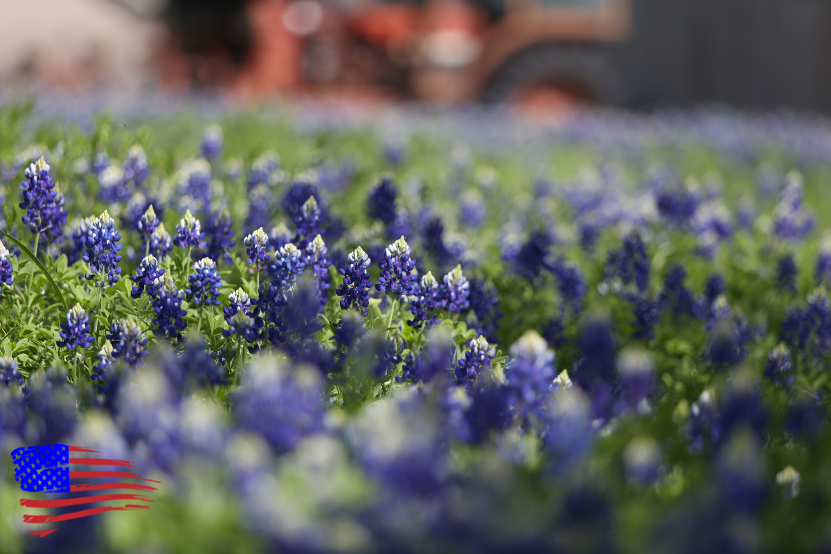five roofing problems you don’t want to ignore this spring